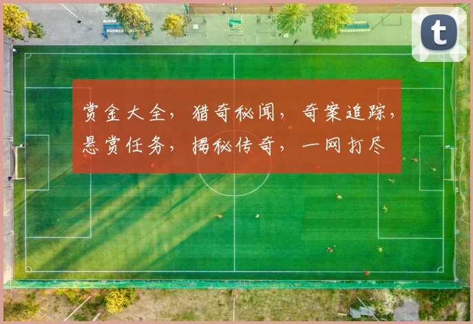 赏金大全，猎奇秘闻，奇案追踪，悬赏任务，揭秘传奇，一网打尽