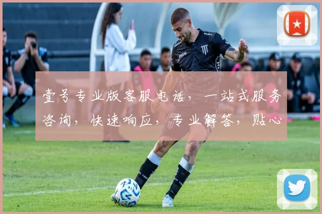 壹号专业版客服电话，一站式服务咨询，快速响应，专业解答，贴心指导，三重保障，助您无忧
