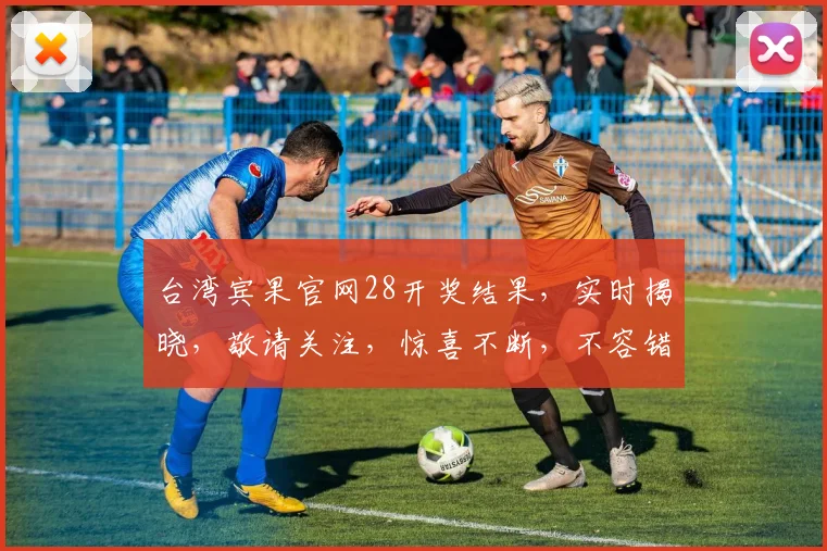 台湾宾果官网28开奖结果，实时揭晓，敬请关注，惊喜不断，不容错过