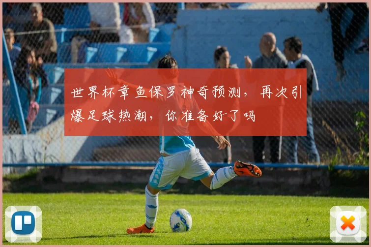 世界杯章鱼保罗神奇预测，再次引爆足球热潮，你准备好了吗