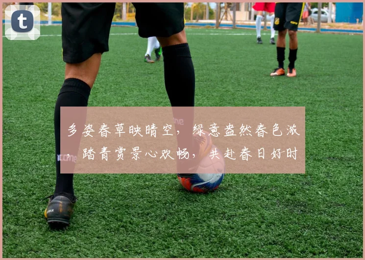 多姿春草映晴空，绿意盎然春色浓，踏青赏景心欢畅，共赴春日好时光。